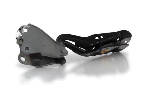 Hinge/Door check strap RENAULT TWINGO II (CN0_) 1.6 RS (CN0N, CN0R, CN0S) | BP30632841C146