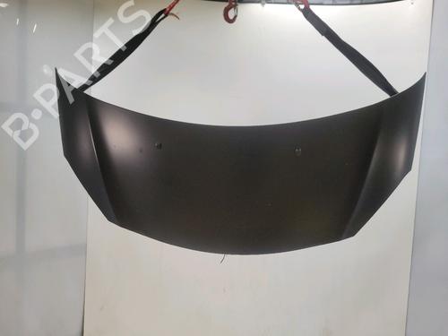 hood-citroen-ds3-sa_-2009-2010-2011-2012-2013-2014-2015-2016-39898330 main image