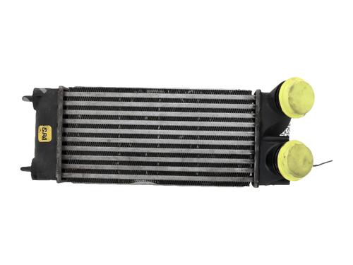 Intercooler Intercooler CITROËN C4 Picasso I MPV (UD_) [2006-2015] 34532098 34532098