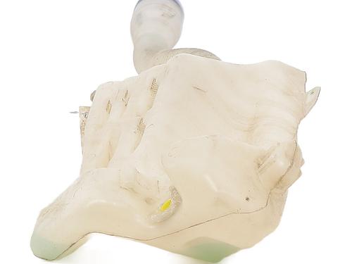 Sprinklertank Sprinklertank CITROËN C4 II (NC_) 1.6 BlueHDi 100 (99 hp) 33744998 33744998