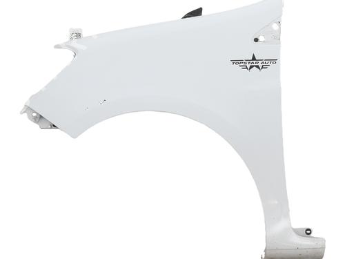 Used Left front fenders RENAULT CLIO III (BR0/1, CR0/1) 1.5 dCi (75 hp) 30982847