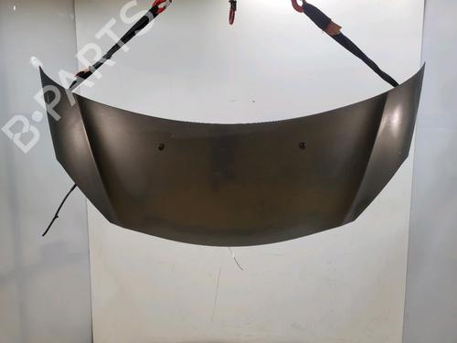 hood-citroen-c3-ii-sc_-2009-32513038 main image