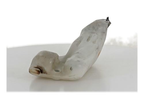 Used Windscreen washer tank RENAULT SCÉNIC III (JZ0/1_) 1.9 dCi (JZ0J, JZ1J, JZ1K, JZ1S) (131 hp) 26228712