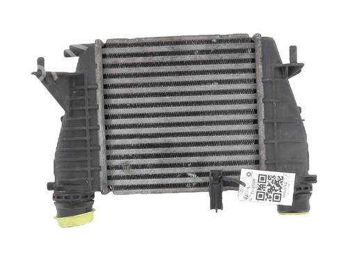 Intercooler RENAULT CLIO III (BR0/1, CR0/1) 1.5 dCi (75 hp) 31303615