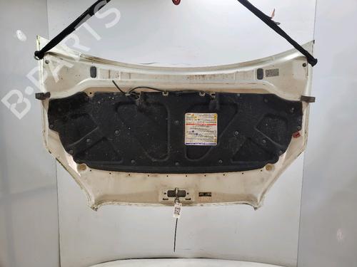 Hood FIAT DOBLO Box Body/MPV (223_)  | BP24235574C1 