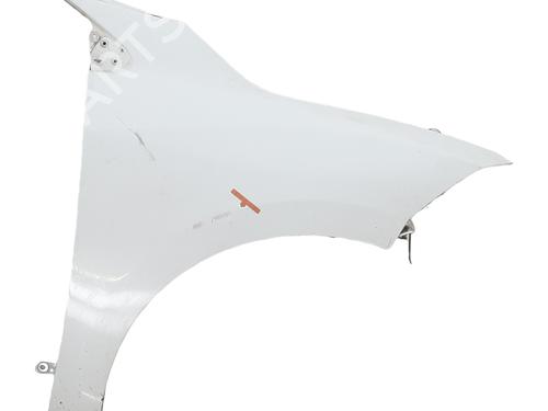 Used Right front fenders RENAULT MEGANE III Hatchback (BZ0/1_, B3_) 1.2 TCe (BZ2B, BZ11) (116 hp) 31122369