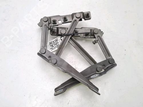 Hinge/Door check strap OPEL INSIGNIA A (G09) 2.0 CDTI (68) | BP27919503C146 