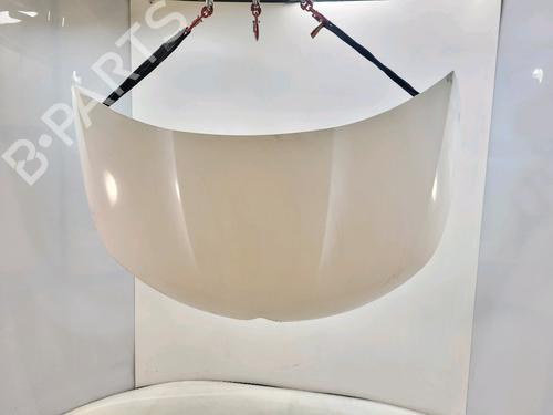 Used Hood CITROËN C4 II (NC_) 1.6 HDi 90 (92 hp) 30379813