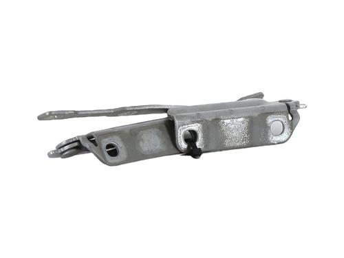 Hinge/Door check strap DACIA LODGY (JS_) 1.5 dCi (JSMC, JSAF) | BP29988300C146 
