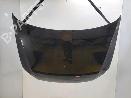 Panser VW POLO V (6R1, 6C1) 1.6 TDI (75 hp) 31142472