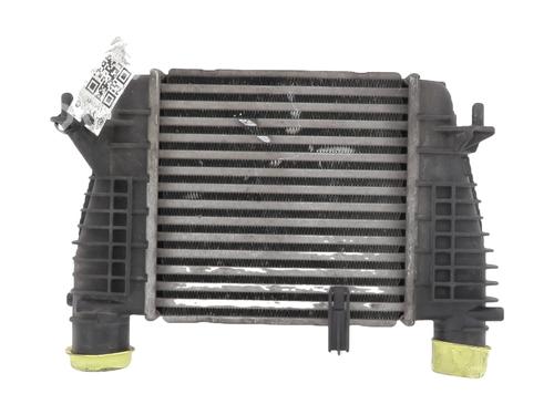 Intercooler RENAULT CLIO III (BR0/1, CR0/1) 1.5 dCi (BR17, CR17) (86 hp) 31661537