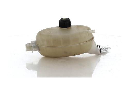 Used Expansion tank NISSAN PRIMASTAR Van (X83) 2.0 dCi 115 (114 hp) 20152569