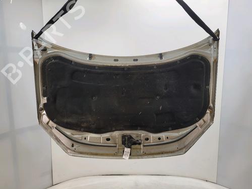 Hood VW POLO IV (9N_, 9A_) 1.4 TDI | BP30141223C1