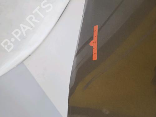 Left rear door RENAULT CLIO III (BR0/1, CR0/1) 1.2 16V (BR02, BR0J, BR11, CR02, CR0J, CR11) | BP29444038C4 