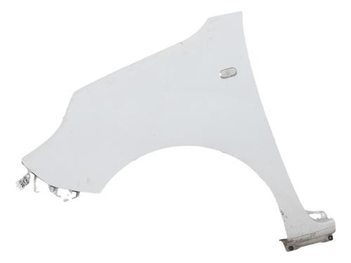 left-front-fenders-renault-kangoo-express-fw01_-2008-38031662 main image