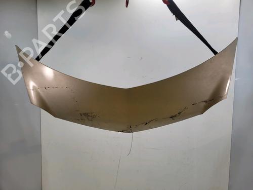 Motorhaube für RENAULT MODUS / GRAND MODUS (F/JP0_) 1.6 (JP03, JP0B, JP0U, JP0Y, JP1G) (112 hp) 32202358