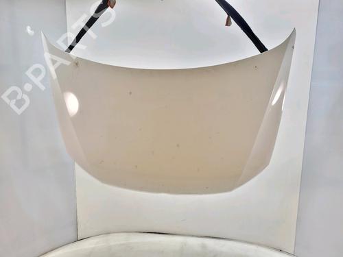 Used Hood VW POLO V (6R1, 6C1) 1.2 TSI 16V (90 hp) 30190493