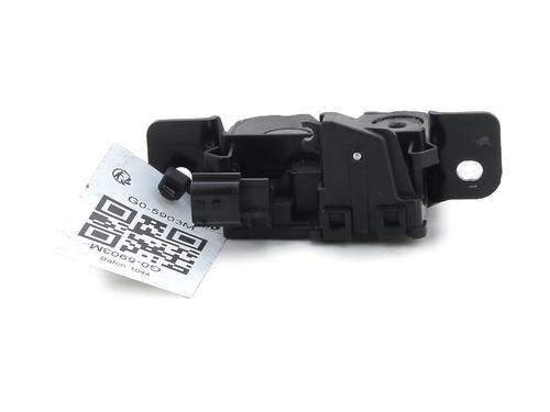 Tailgate lock DACIA DUSTER (HS_) 1.5 dCi (HSMC) | BP29232086C101 