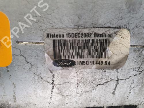 Intercooler RENAULT MEGANE II (BM0/1_, CM0/1_)  | BP24921020M30 