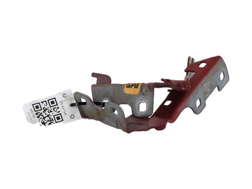 Hinge/Door check strap RENAULT CLIO II (BB_, CB_)  | BP29172224C146 