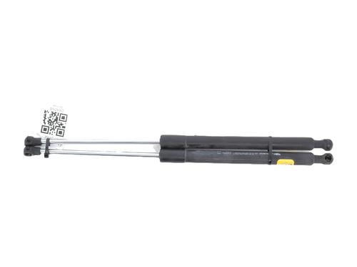 Gassdemper Bakluke RENAULT CLIO III (BR0/1, CR0/1)  | BP27911476C138 