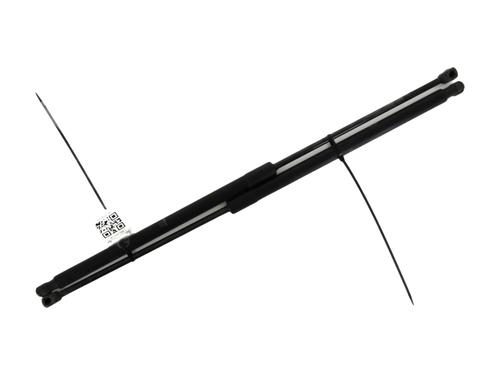 Tailgate lift support FORD GRAND C-MAX (DXA/CB7, DXA/CEU) 1.6 TDCi | BP27904056C138 