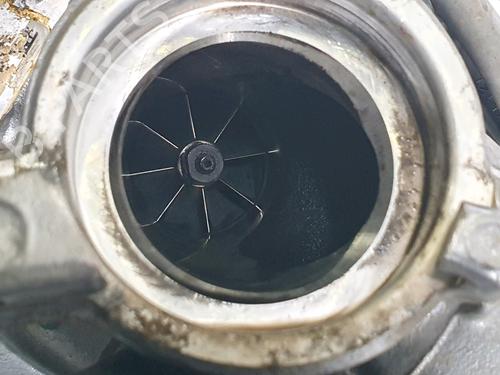 Engine VW GOLF VII (5G1, BQ1, BE1, BE2)  | BP34118501M1  - Image 7