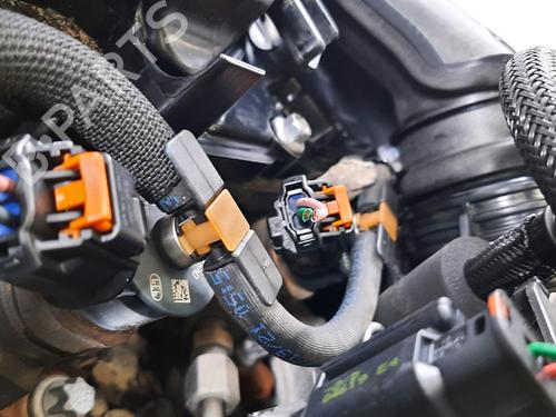 Engine PEUGEOT PARTNER Box Body/MPV 1.6 BlueHDi 100 | BP31661912M1 