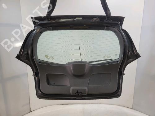 Tailgate RENAULT CLIO III (BR0/1, CR0/1) 1.5 dCi | BP29444073C6 