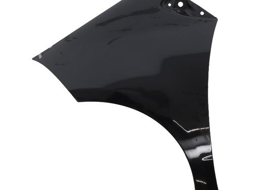 Used Left front fenders MERCEDES-BENZ A-CLASS (W169) A 180 CDI (169.007, 169.307) (109 hp) 24604846