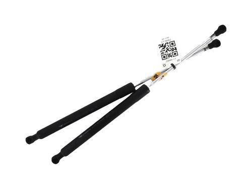 tailgate-lift-support-renault-clio-iii-br01-cr01-2005-2006-2007-2008-2009-2010-2011-2012-2013-2014-32039961 main image