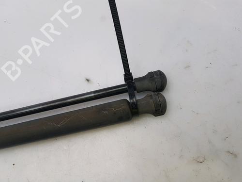 Hood lift support PEUGEOT 607 (9D, 9U) 2.2 HDi | BP27916984C139