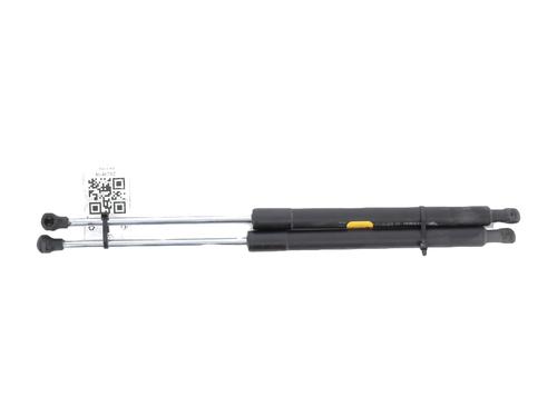 Tailgate lift support RENAULT CLIO III (BR0/1, CR0/1)  | BP27911414C138 