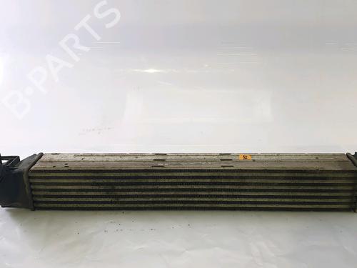 Ladeluftkühler für RENAULT SCÉNIC III (JZ0/1_) 1.5 dCi (106 hp) 28310513
