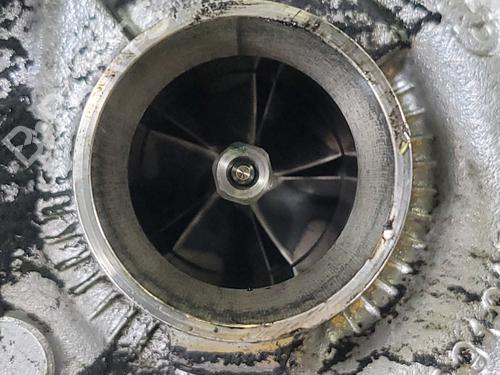 Engine RENAULT CLIO II (BB_, CB_)  | BP28286304M1 
