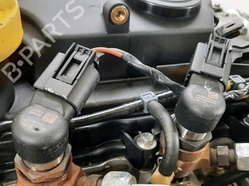 Engine RENAULT SCÉNIC II (JM0/1_) 1.5 dCi (JM1E, JM16) | BP31635474M1 