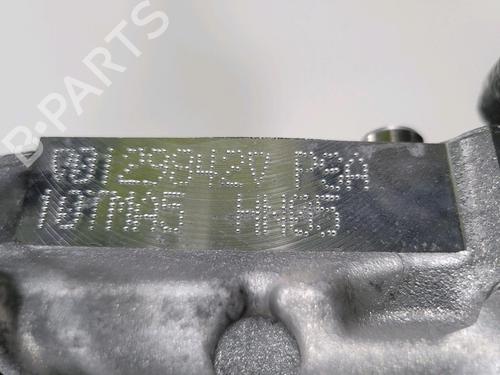 Engine PEUGEOT 208 II (UB_, UP_, UW_, UJ_) 1.2 PureTech 100 | BP29389928M1 