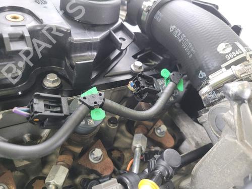Motor FORD FIESTA VI (CB1, CCN) 1.4 TDCi | BP29552582M1 