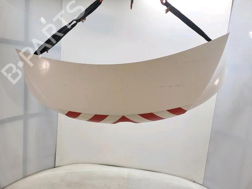 Used Hood RENAULT MASTER III Van (FV) 2.3 dCi 145 FWD (FV0E, FV0F, FV0H, FV02, FV0M, FV0S,... (146 hp) 29931594