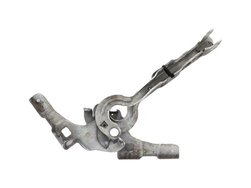 Used Hinge/Door check strap CITROËN C4 II (NC_) 1.6 BlueHDi 100 (99 hp) 27907582