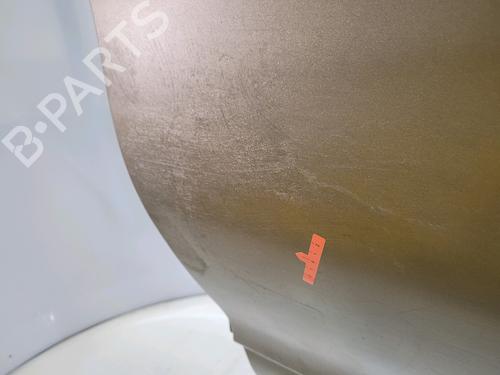 Left rear door CITROËN C4 II (NC_) 1.6 HDi 90 | BP30049519C4 