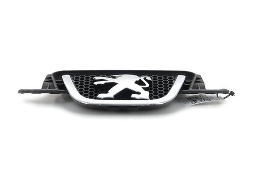 Grille PEUGEOT 407 Coupe (6C_) 2.0 HDi | BP29470997C40 