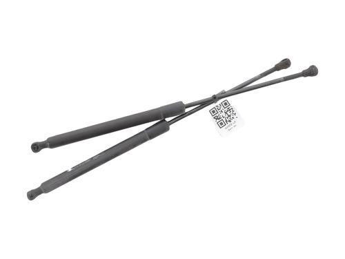 gasdmper-bagklap-citroen-c3-ii-sc_-2009-31661821 main image