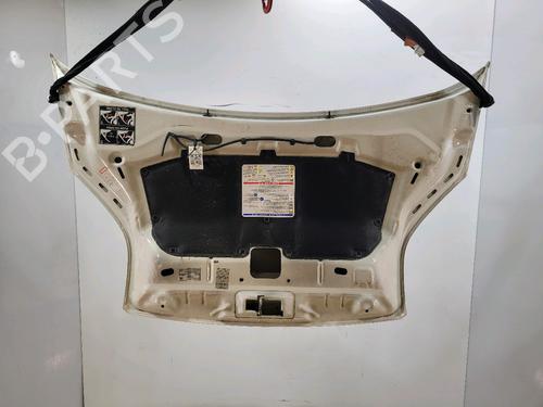 Hood CITROËN NEMO Box Body/MPV (AA_) 1.3 HDi 75 | BP24327463C1 