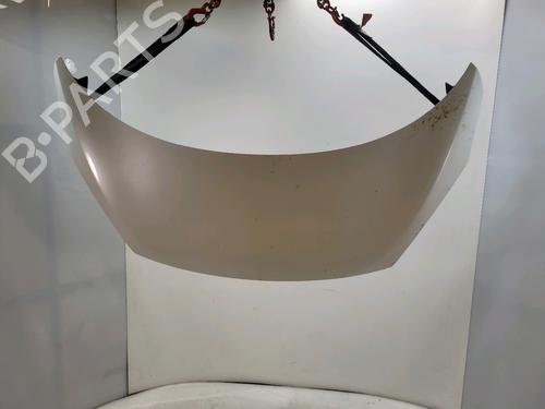 Used Hood RENAULT SCÉNIC III (JZ0/1_) 1.2 TCe (116 hp) 30503682