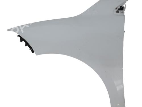 Used Left front fenders RENAULT MEGANE III Coupe (DZ0/1_) 1.6 dCi (DZ00, DZ12, DZ2A, DZ13) (130 hp) 28137692