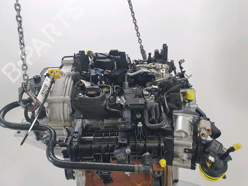 Engine FORD FIESTA VII (HJ, HF) 1.0 EcoBoost | BP36831225M1 - Image 5