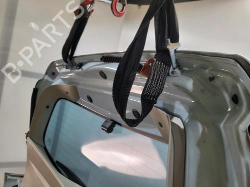 Tailgate RENAULT ZOE (BFM_) ZOE | BP29522871C6 