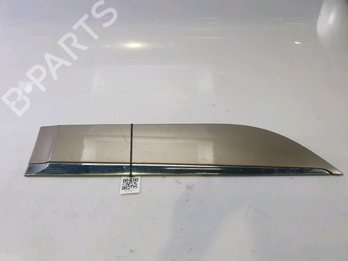Used Door moulding trim RENAULT SCÉNIC III (JZ0/1_) 1.6 dCi (JZ00, JZ12) (130 hp) 29110441