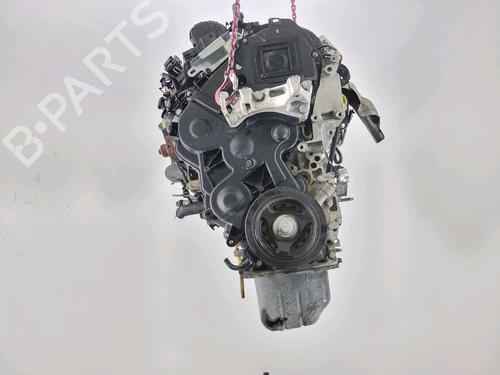 Motor PEUGEOT 206+ (2L_, 2M_) 1.4 HDi eco 70 (68 hp) 29295896